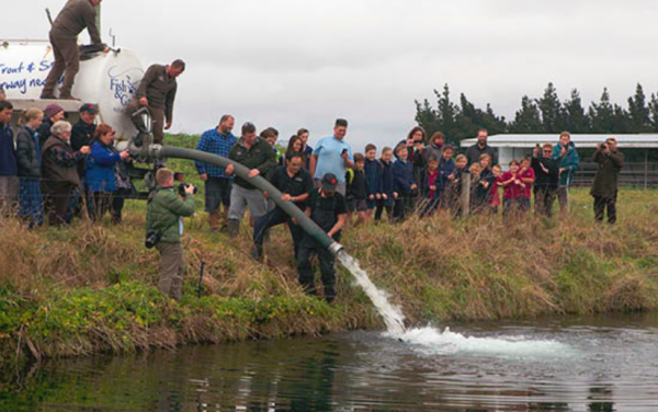 Read more on Kaikoura Salmon Enhancement Trust
