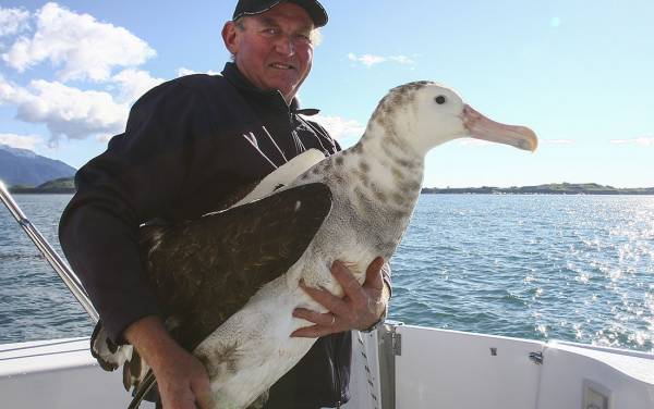 Read more on Gary Melville