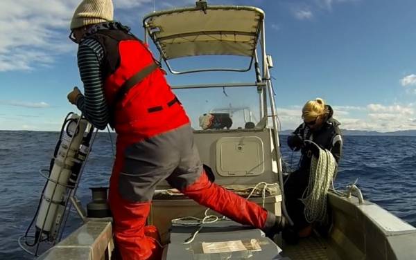 Read more on New Vessel for New Zealand Whale and Dolphin Trust